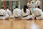 Walddörfer SV Karate-Sommer-Trainingslager in Dänemark 2025