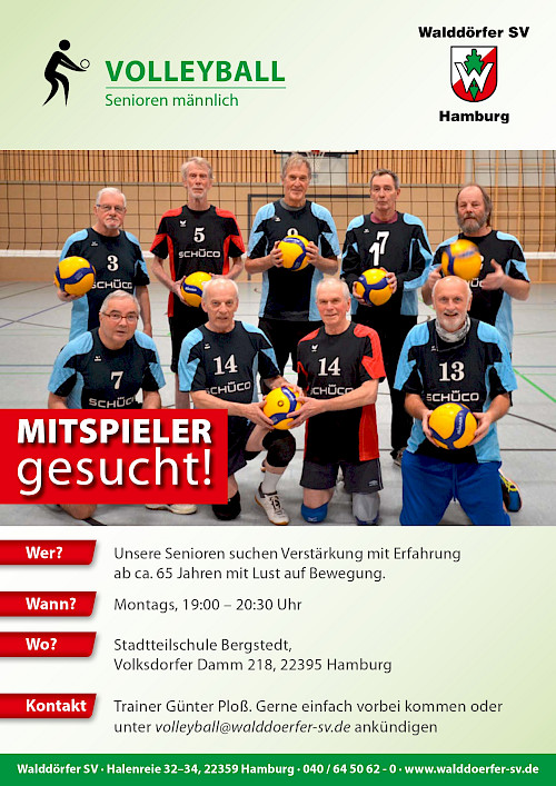 Volleyball Senioren im Walddörfer SV