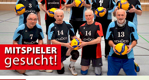 Volleyball Senioren im Walddörfer SV