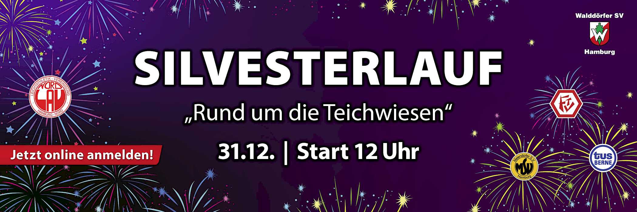 Silvesterlauf "Rund um die Teichwiesen"