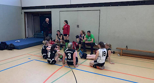 Volleyball-Damen im Walddörfer SV - Relegationsspiel April 2017