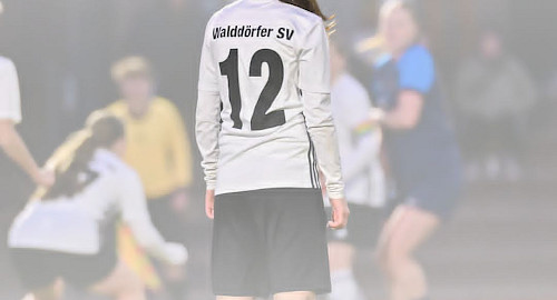 Der Walddörfer SV sucht Spielerinnen für die Saison 2026/27