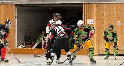 Hamburg Knights gegen Bergedorf Snakes