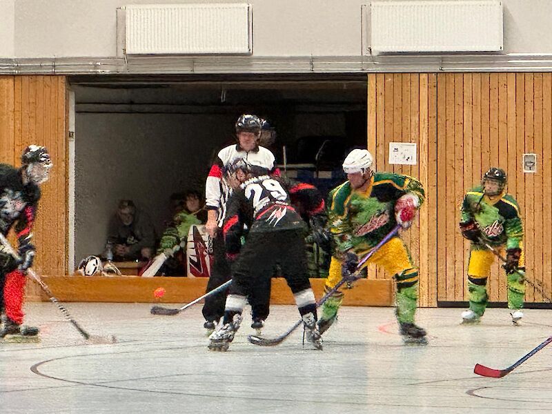Hamburg Knights gegen Bergedorf Snakes