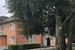 OrtsOrtstermine Jugendtheater Stolz und Vorurteil - Ohlendorffsche Villa Volksdorf