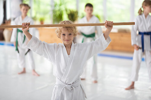 Kobujutsu für Kids im Walddörfer SV