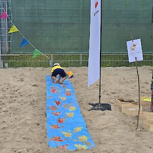 Walddörfer SV: Kindersommerfest 2026