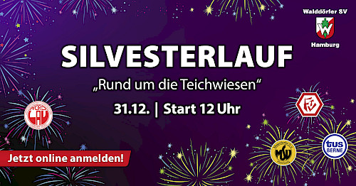 41.Volksdorfer Silvesterlauf