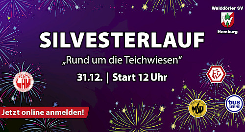 41.Volksdorfer Silvesterlauf