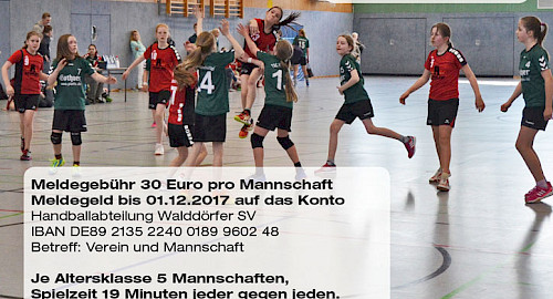 Sparkasse Holstein Jungedturnier Handball im Walddörfer SV