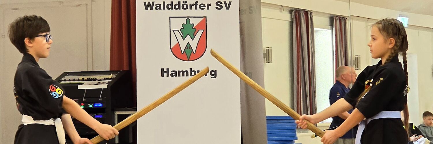 Haidong Gumdo im Walddörfer SV